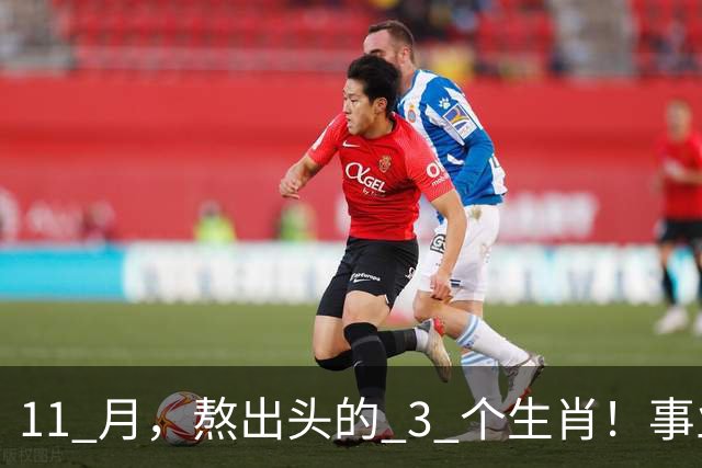 11 月，熬出头的 3 个生肖！事业逐步走高，辛苦付出开始变现